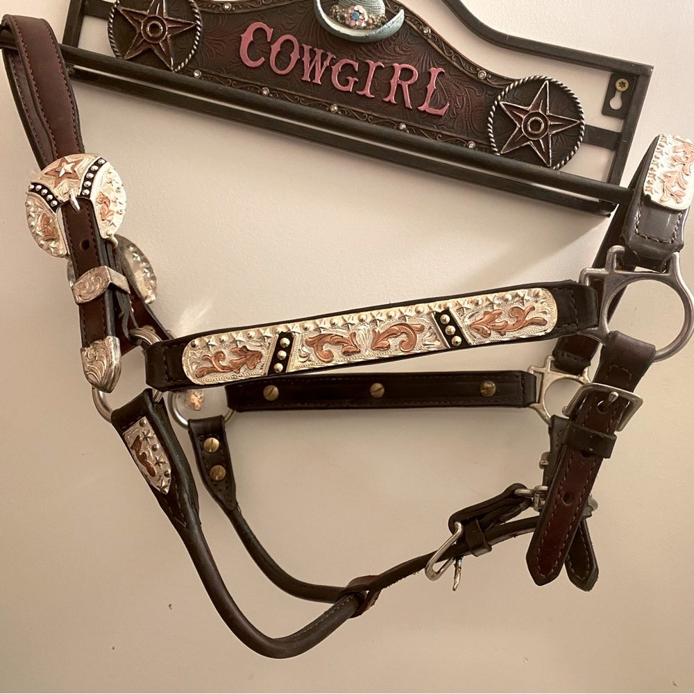 Dale Chavez show halter